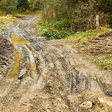 Mud terrain riding